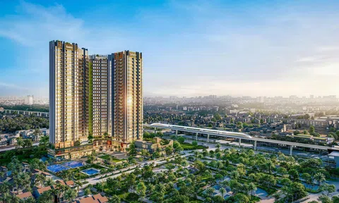 Phú Hoàng Land nợ thuế gần 1 tỷ đồng, hoạt động ra sao?