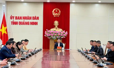 Quảng Ninh giảm sâu cả 3 tiêu chí về tai nạn giao thông trong năm 2025