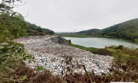 Hải Phòng: Phê duyệt dự án đầu tư xây dựng nhà máy xử lý chất thải hơn 340 tỷ đồng