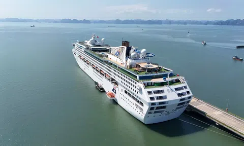 Quảng Ninh đón loạt tàu biển hạng sang dịp Tết Nguyên đán Bính Ngọ 2026