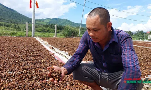 Quảng Ninh: Xây dựng chính sách đặc thù về lĩnh vực nông nghiệp