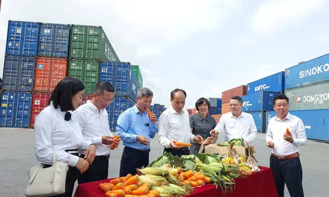 Liên kết 3 bên: Mở hướng tiêu thụ bền vững cho nông sản Hải Phòng