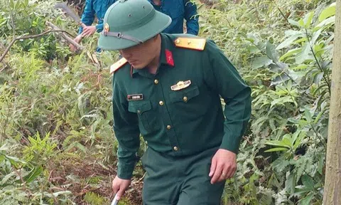 Hạt Kiểm lâm Khu vực III: Hiệp đồng chặt chẽ, giữ vững sắc xanh của những cánh rừng