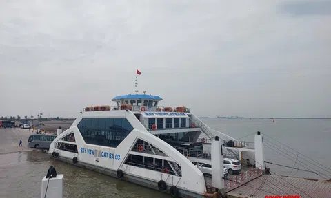 Hải Phòng: Miễn giảm giá dịch vụ sử dụng phà Đồng Bài – Cái Viềng