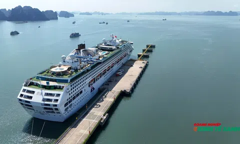 Quảng Ninh: Đưa ngành công nghiệp không khói thực sự trở thành mũi nhọn kinh tế