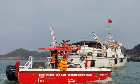 Hải Phòng:  Tăng cường  bảo vệ, phát triển nguồn lợi thủy sản