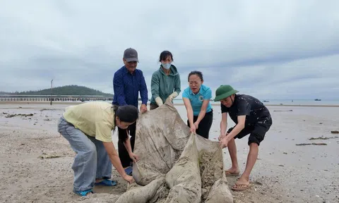 Đặc khu Cô Tô: Ra quân tổng vệ sinh môi trường biển chào mừng 65 năm ngày Bác Hồ thăm đảo