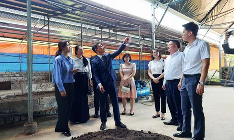 Hợp tác xã Sông Giá đón sóng công nghệ Hàn Quốc để xây dựng mô hình nông nghiệp tuần hoàn tại Hải Phòng