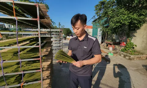 Nhang sạch đạt chuẩn OCOP 4 sao góp phần nâng tầm dược liệu địa phương