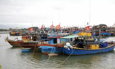 Quảng Trị: Sẽ chuyển đổi trên 770 tàu khai thác thủy sản sang các nghề, lĩnh vực khác