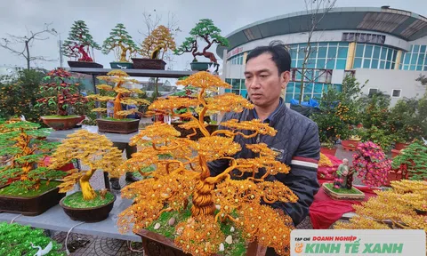 Độc đáo những cây Bonsai làm từ dây đồng phục vụ thị trường tết tại Hà Tĩnh