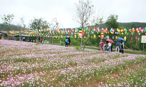 Những ngày đầu xuân Bính Ngọ, hơn 5000 du khách tham quan chùa Hương Tích