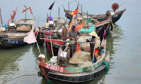 Hà Tĩnh: Tăng cường quản lý tàu cá, siết chặt truy xuất nguồn gốc thủy sản
