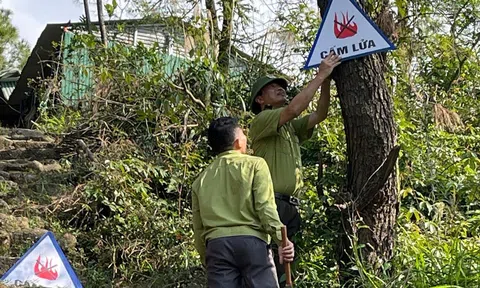 Hà Tĩnh chủ động bảo vệ rừng trong mùa nắng nóng