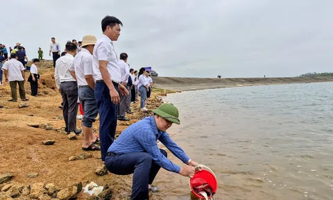 Hà Tĩnh: Thả 4 vạn cá giống tái tạo, phát triển nguồn lợi thủy sản