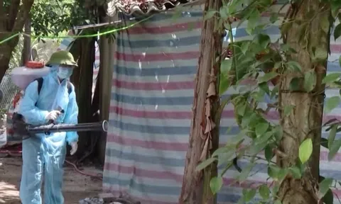 Quảng Trị: Tăng cường triển khai các giải pháp phòng, chống Dịch tả lợn châu Phi