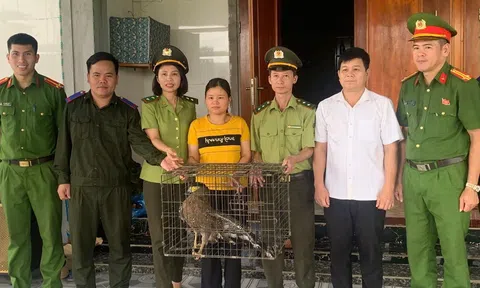 Hà Tĩnh: Người dân giao nộp 2 cá thể động vật quý hiếm để thả về môi trường tự nhiên