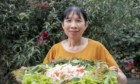 Gỏi cá đục món đặc sản dân dã hấp dẫn tại vùng biển xã Cổ Đạm