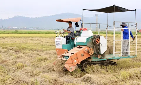 Thu gom rơm rạ sau thu hoạch góp phần bảo vệ môi trường