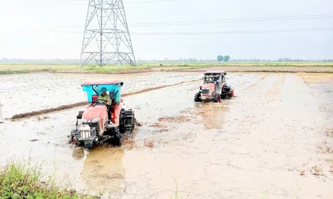 Nông dân Hà Tĩnh hối hả sản xuất vụ Hè Thu