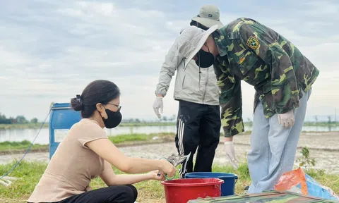 Xã Thạch Khê ứng dụng công nghệ sinh học trong sản xuất lúa hữu cơ, giảm phát thải