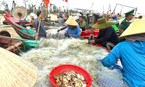 Hà Tĩnh: Tăng cường kiểm tra tàu, thuyền đánh cá đúng quy định