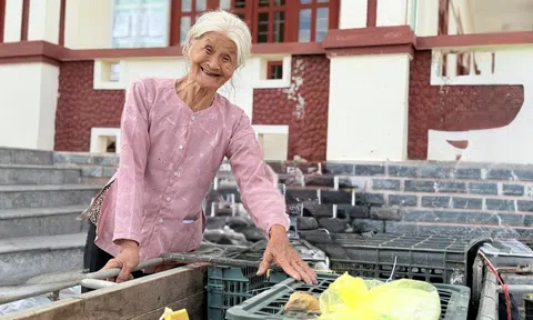 Thạch Xuân: Gieo mầm hy vọng, tiếp sức hộ khó khăn vươn lên trong cuộc sống bằng những mô hình sinh kế