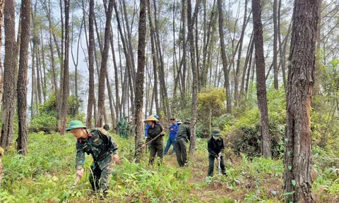 Hà Tĩnh: Chung tay phòng chống cháy rừng mùa nắng nóng