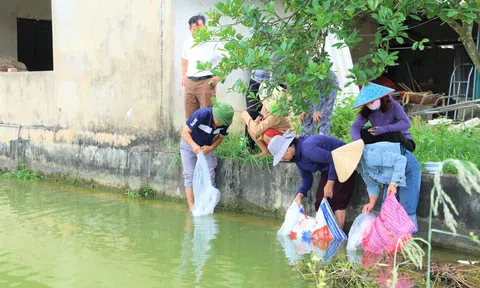 Tôm càng xanh VietGAP mở hướng phát triển mới ở Toàn Lưu