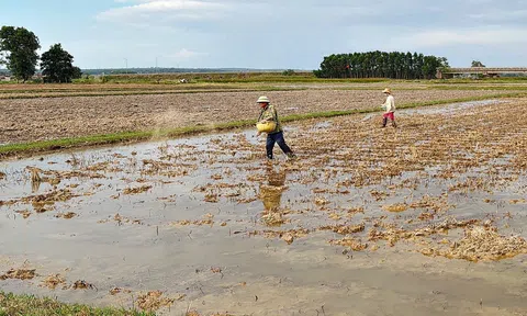 Quảng Trị: Thay đổi thói quen xử lý rơm rạ sau thu hoạch