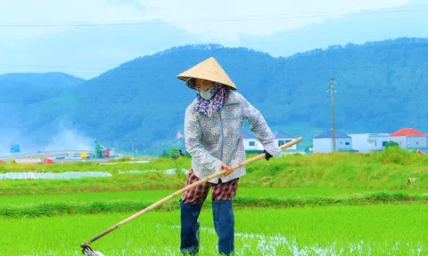Nông dân Hà Tĩnh tập trung chống hạn, chăm sóc lúa Hè Thu