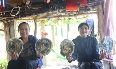 Giữ nghề làm bánh đa Kỳ Xuân giữa nhịp sống hiện đại