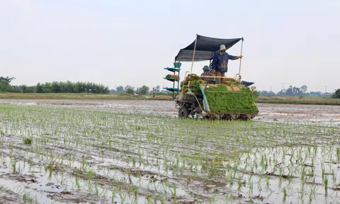 Nông dân Hà Tĩnh từng bước thay đổi phương thức sản xuất