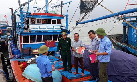 Hà Tĩnh: Tăng cường giám sát tàu cá qua cảng, góp phần chống khai thác IUU