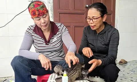 Nuôi chồn hương mở ra triển vọng trong phát triển kinh tế nông thôn tại xã Đan Hải