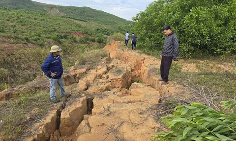 Hà Tĩnh: Xuất hiện vết nứt lớn trên núi, nguy cơ cao xảy ra sạt lở