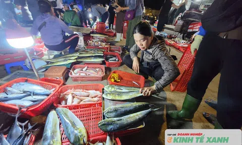 Nhộn nhịp chợ cá Thạch Kim lúc rạng sáng