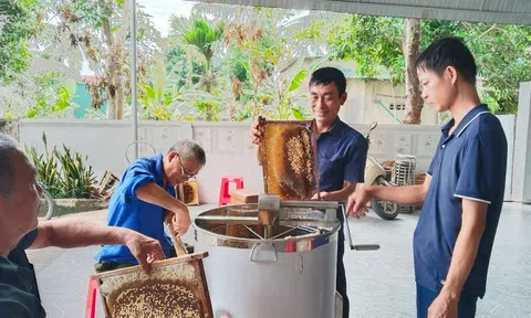 Người nông dân làm giàu từ nuôi ong lấy mật
