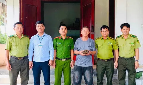 Hà Tĩnh: Người dân tự nguyện giao nộp rùa núi vàng