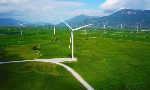 Hà Tĩnh: Chấp thuận chủ trương đầu tư 04 dự án điện gió quy mô gần 8.000 tỷ đồng