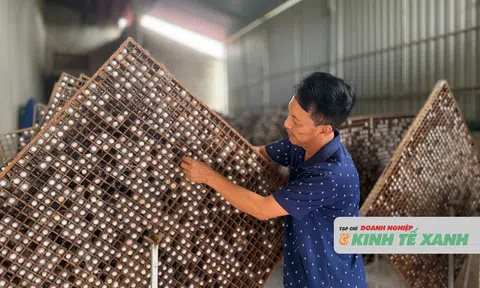Cây dâu, sợi tằm góp phần nâng cao thu nhập cho người dân xã Đức Thịnh