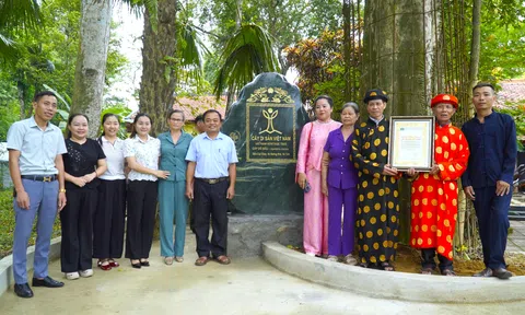 Cây trầm hương 500 năm tuổi tại Khu di tích Đền Cây Chay - Rôộc Cồn được công nhận là cây di sản Việt Nam