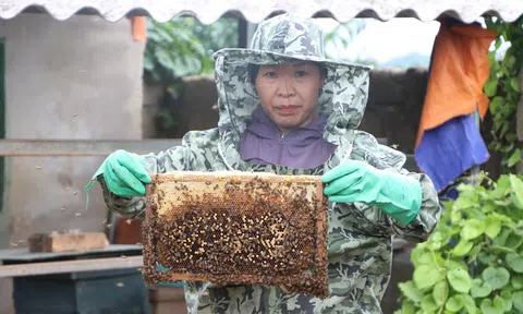 Hướng đi cho nghề nuôi ong lấy mật ở xã Kỳ Xuân