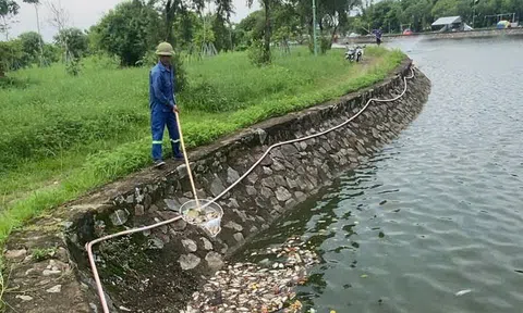 Kiểm tra, lấy mẫu xác định nguyên nhân cá chết tại hồ Bồng Sơn