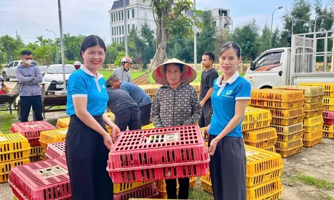 Trao sinh kế, tiếp thêm động lực để người nghèo Lộc Hà vươn lên trong cuộc sống
