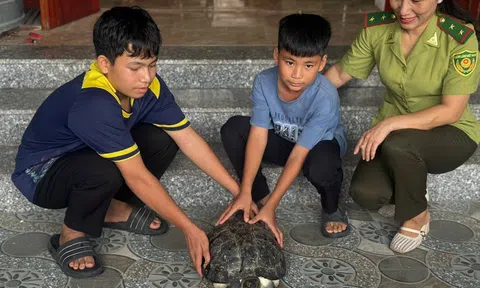 Bắt được rùa răng quý hiếm, hai học sinh tự nguyện giao nộp
