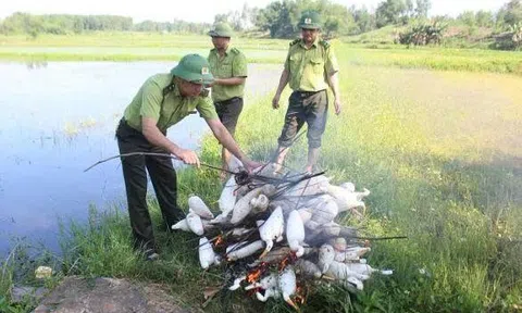 Hà Tĩnh: Ra quân tiêu hủy nhiều dụng cụ bẫy, bắt chim hoang dã