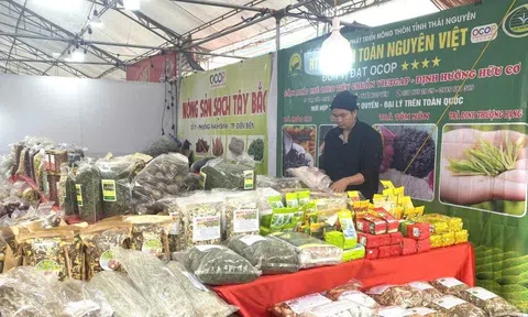 Quảng Trị tổ chức Hội chợ Xuân 2026 với 180 gian hàng