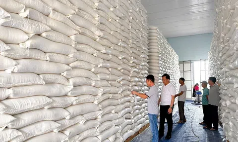 Hà Tĩnh phân bổ gần 1.200 tấn gạo dự trữ quốc gia hỗ trợ người dân trong dịp Tết