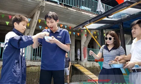 Mực nhảy Vũng Áng – Đặc sản tinh hoa miền biển Hà Tĩnh